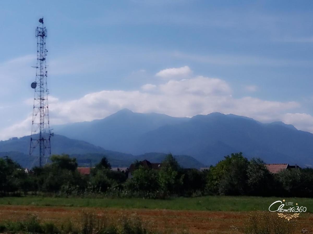 Cazare Apartament Rasnov Lägenhet Exteriör bild