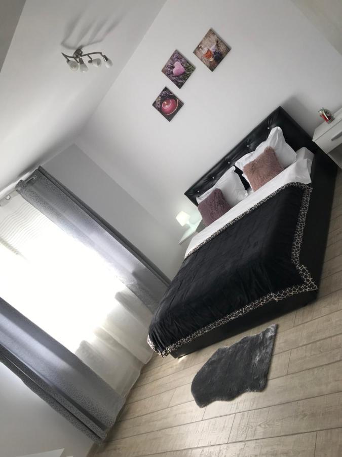Cazare Apartament Rasnov Lägenhet Exteriör bild